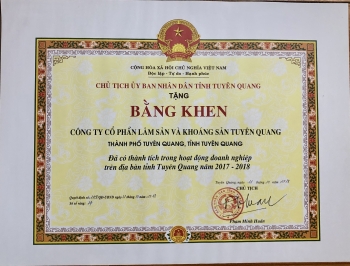 Những Thành Tích Đạt Được Của Công Ty Lâm Sản Và Khoáng Sản Tuyên Quang
