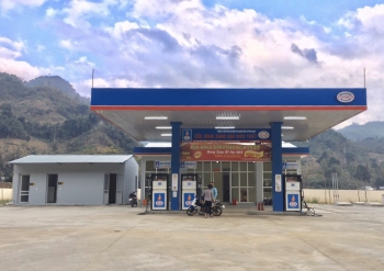 Các Đơn Vị Thành Viên